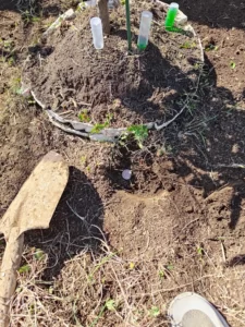 肥料のセットアップ