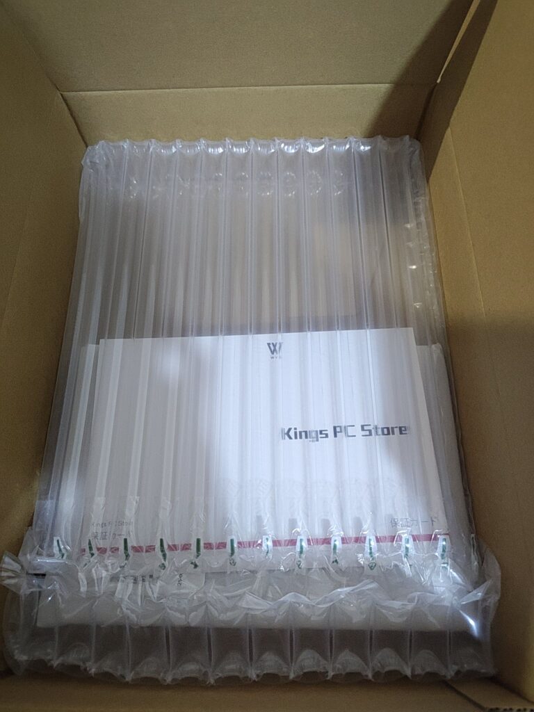 Surface Goケース