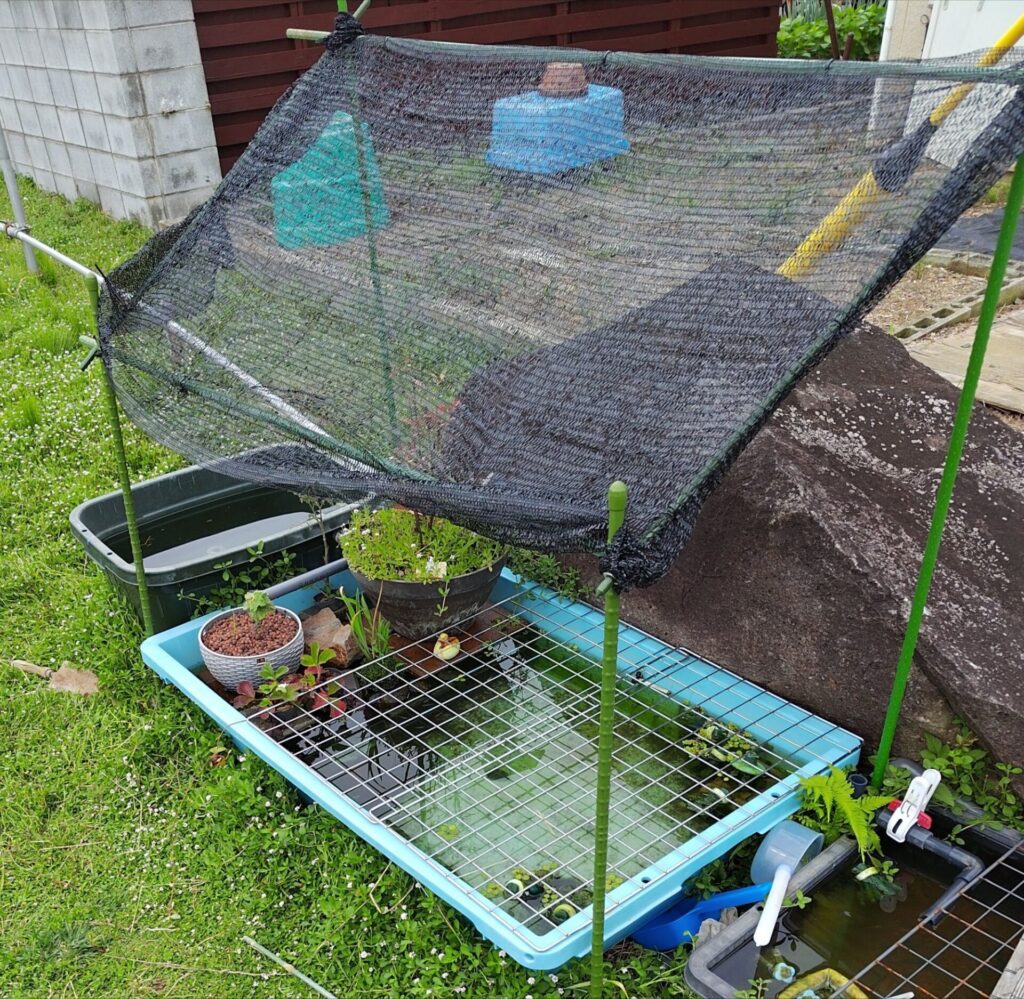 ビオトープに設置したDIY屋根